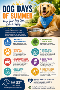 dog days of summer tips