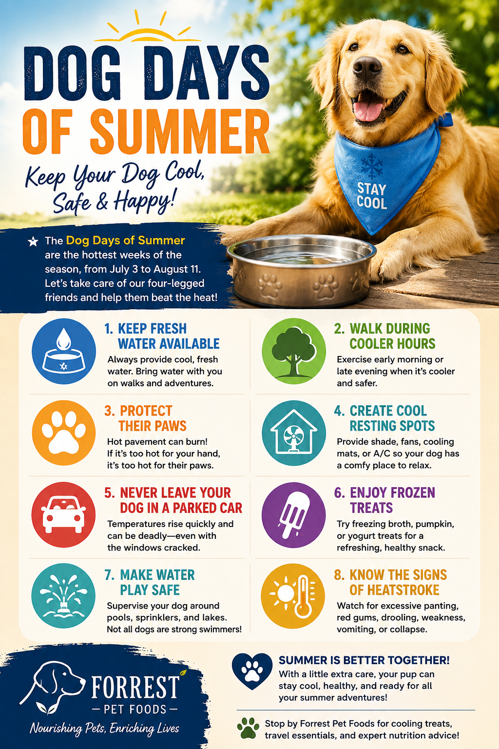 dog days of summer tips